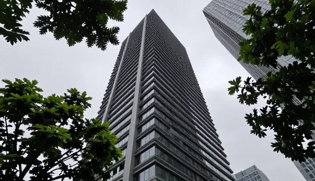 优化用户体验:地区需求反馈中的常见问题与处理策略